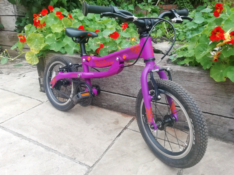 black mountain pinto bike